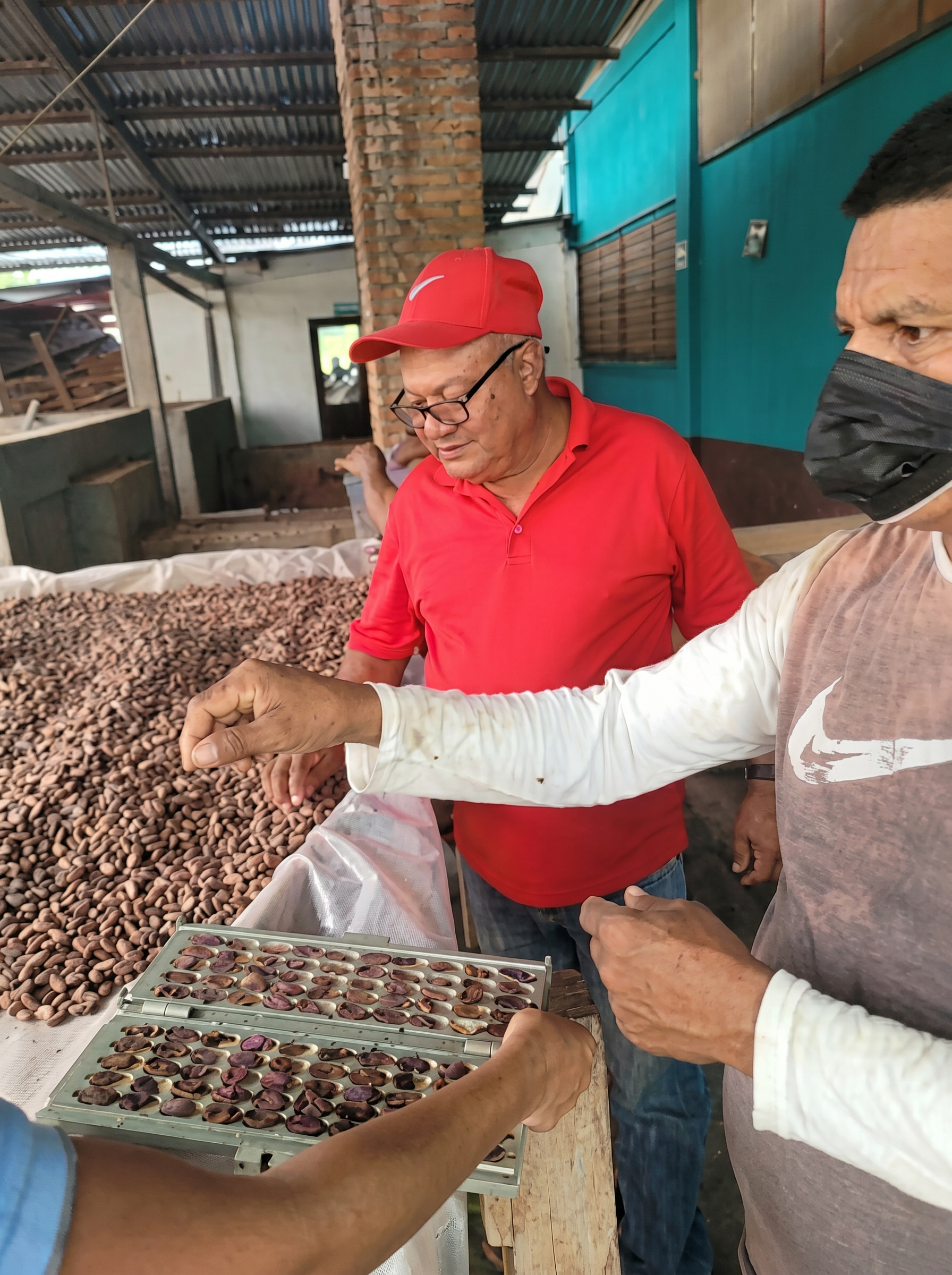 Planta de procesamiento y exportación de cacao.
